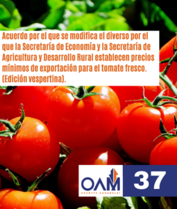 Imagen Boletin para Pagina WEB